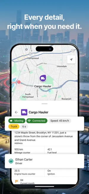 Wialon Platform screenshot 4