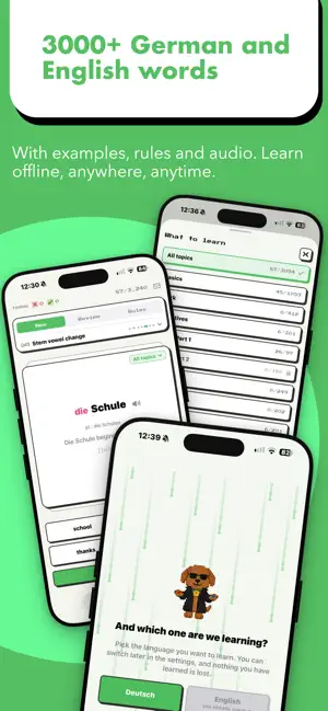 Vocabulary Flashcards - PUUF screenshot 1