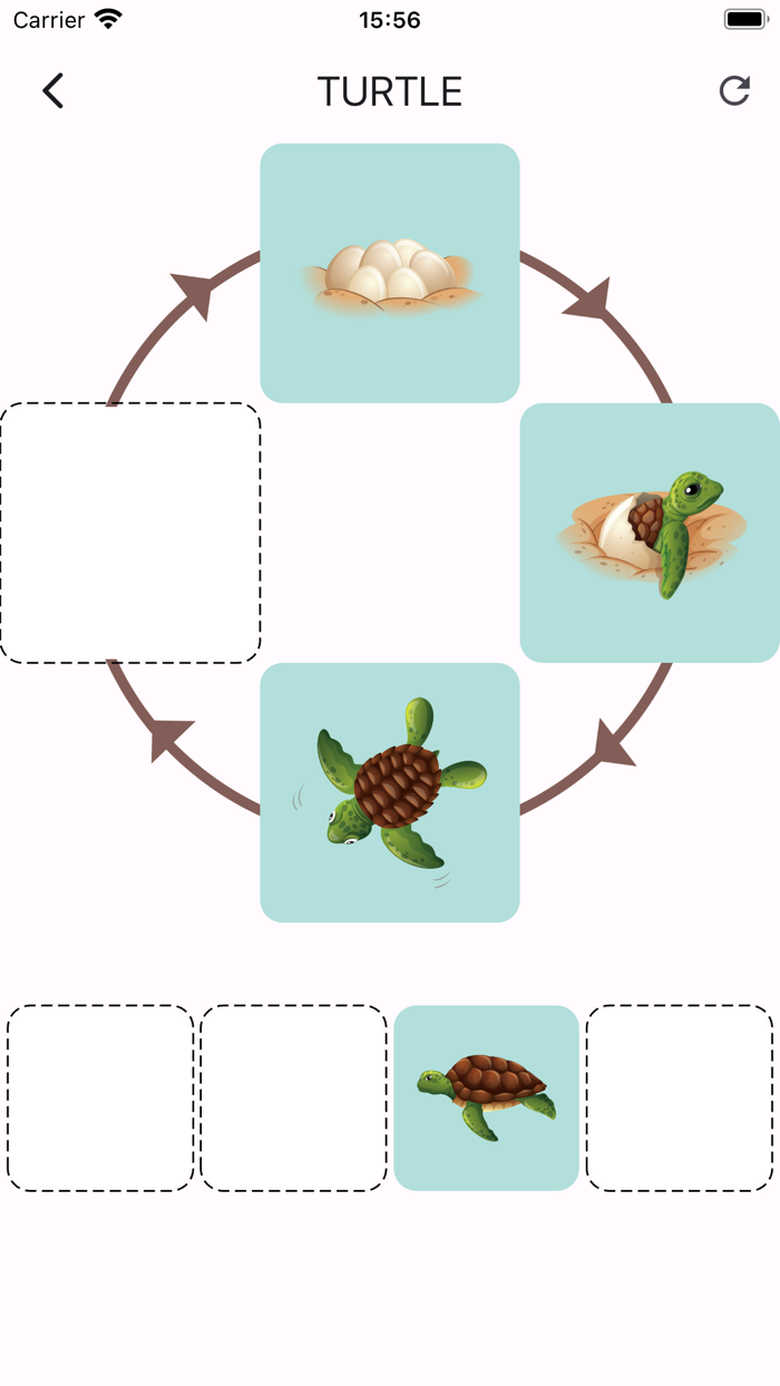 Learn life cycle for toddler