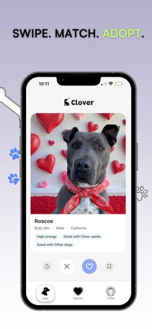 Clover Dogs Screenshot 6 of 6