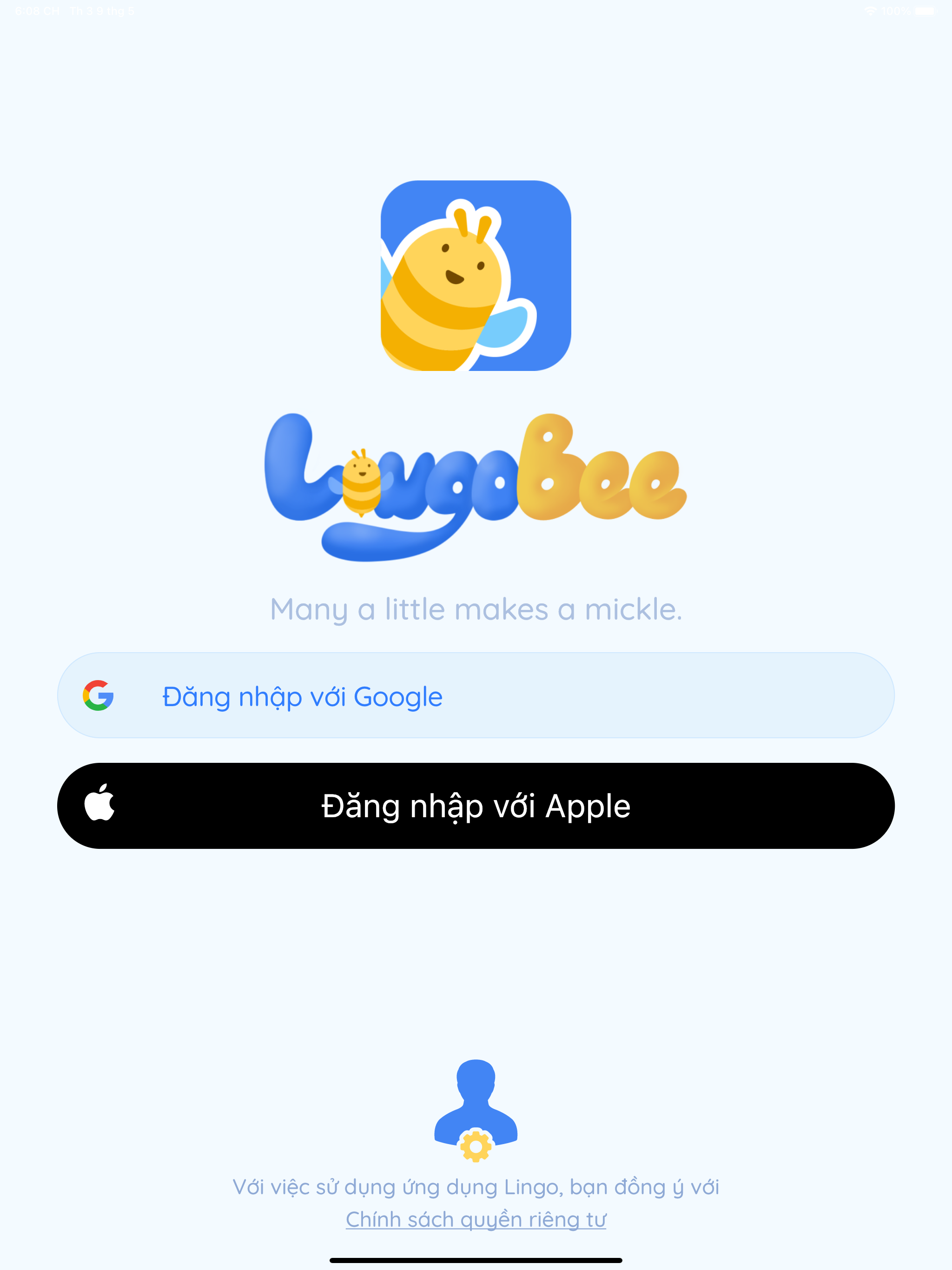 LingoBee