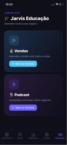 Zaplyn screenshot