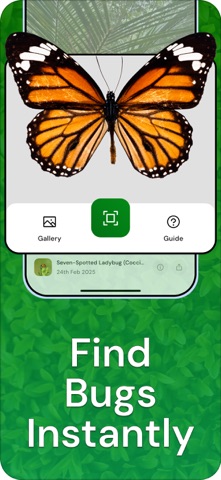 Spider Identifier: Bug Finder screenshot