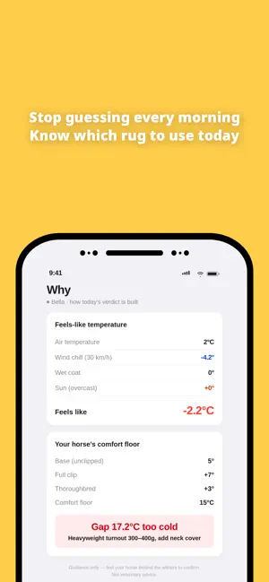 Horse Rug: Blanket Weather screenshot 1