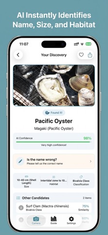 ShellLens - Seashell AI Guide screenshot