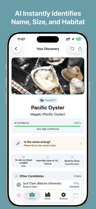ShellLens - Seashell AI Guide Screenshot 2 of 3