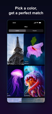 Wallpapers 4K: Backgrounds HD screenshot