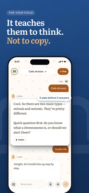 Ludea Mentor: AI Tutor screenshot 3