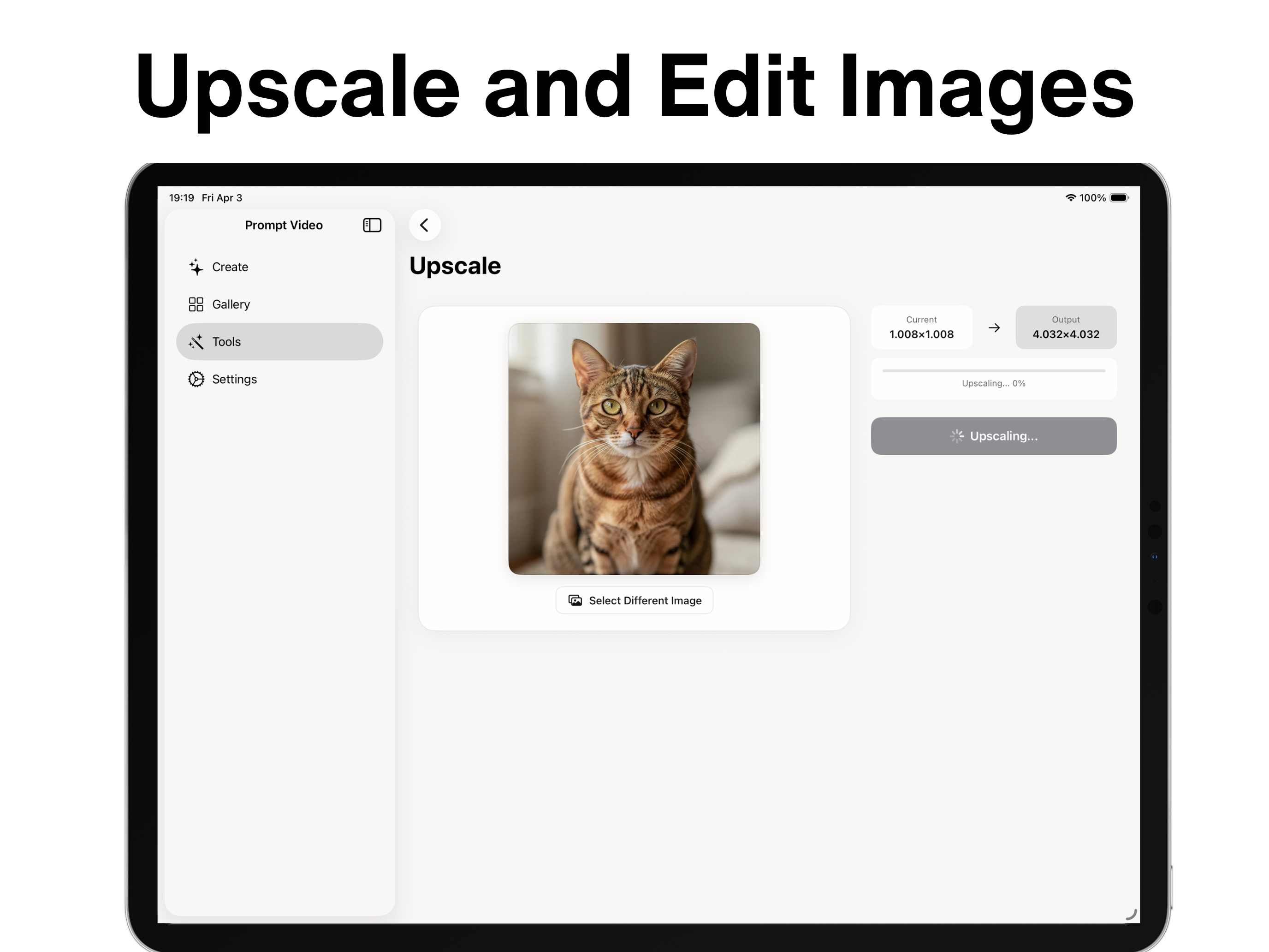 Prompt Video - Make AI Videos
