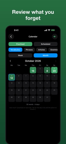 LangDrill: Vocab & Grammar screenshot 6