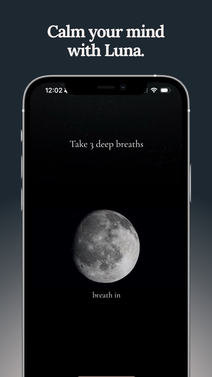 Luna Focus: Clarity Journal screenshot-7