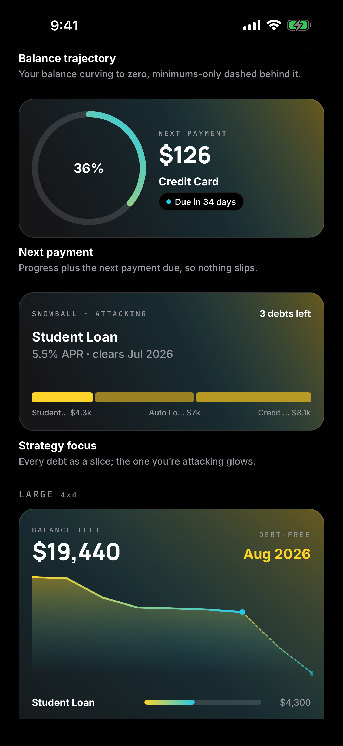 Payfin: Debt Payoff Planner screenshot 7