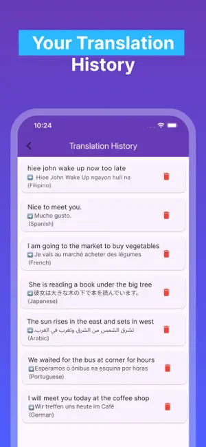 QuickTranslate Plus screenshot 4