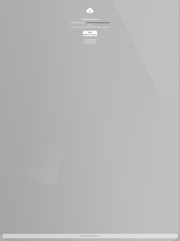 F&L Audit iPad screenshot