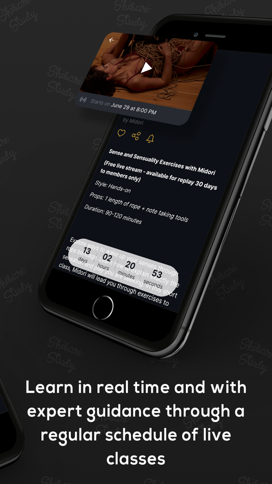 #2. Shibari Study (iOS) By: Shibari Study GmbH