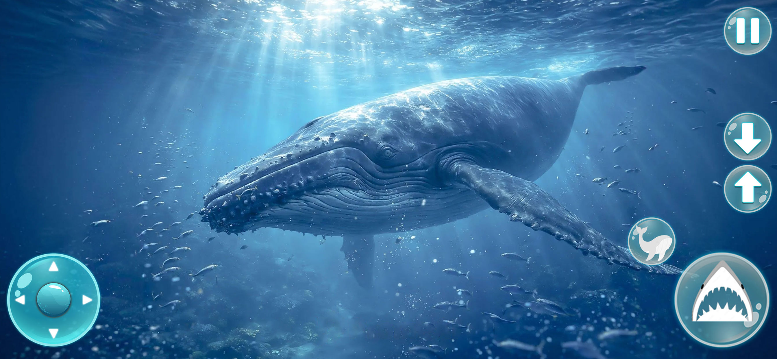 Whale Life Saga 2 screenshot 4