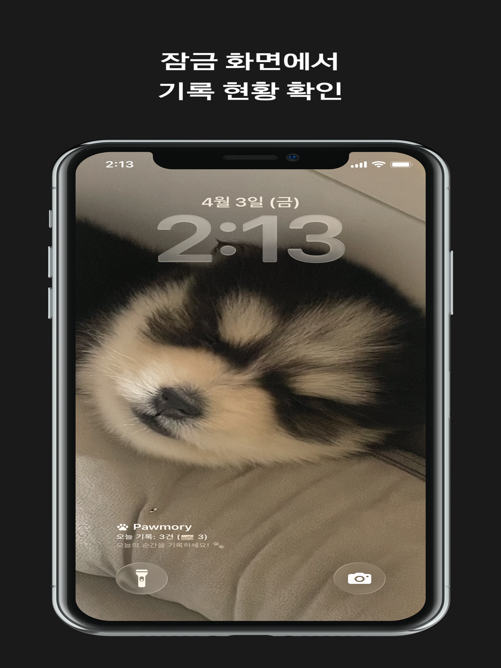 Pawmory: Pet recorded in 3 sec