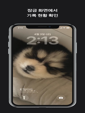 Pawmory: Pet recorded in 3 sec iPad screenshot