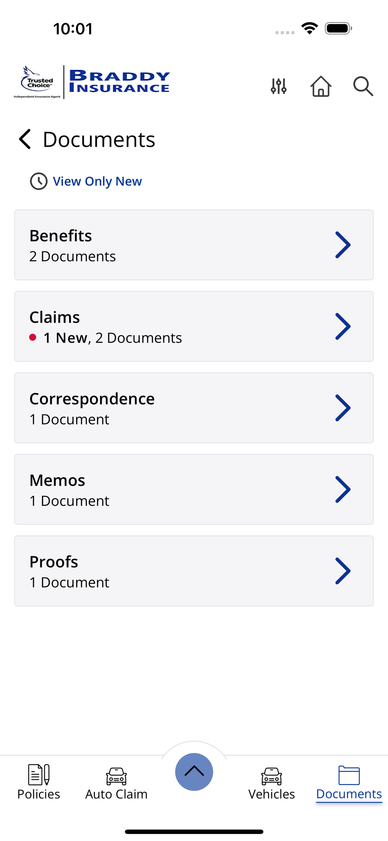 Braddy Insurance, Inc Online screenshot 2
