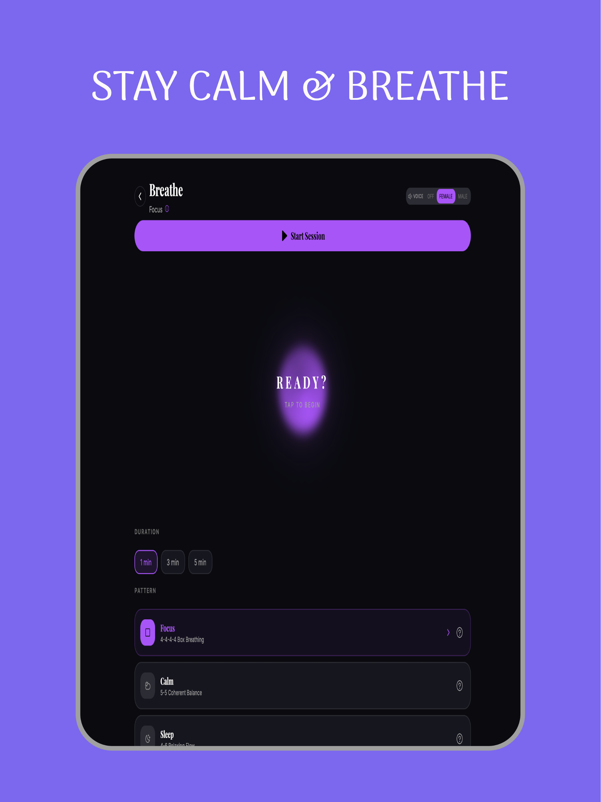 Aurial: Private Diary screenshot 15