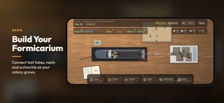 Ant Colony Simulator: Pet Ants Screenshot 2 of 8