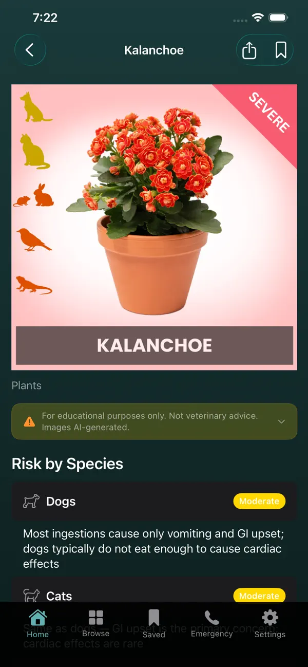 #5. Pet Toxic (iOS) بواسطة: CRISTIANO FONSECA FONTES