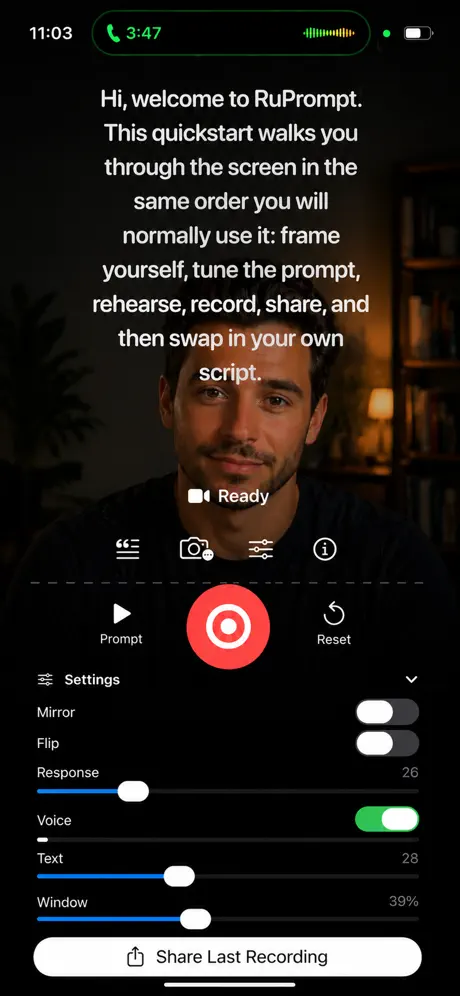 RuPrompt screenshot 3