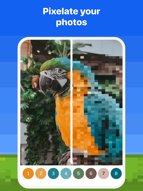 Pixel Color: Paint by Number iPad screenshot 6 - Entertainment app