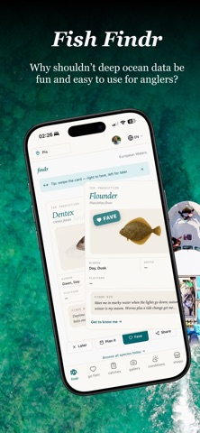 Findr — Swipe, Catch, Repeat Screenshot 1 of 5