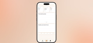 TallyMeter screenshot