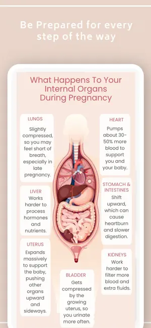 My Pregnancy Journey screenshot 4