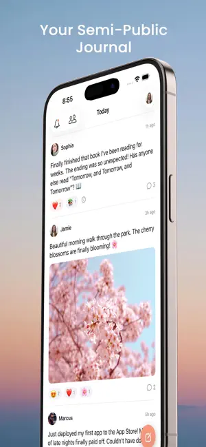 Today: A Semi-Public Journal screenshot 1