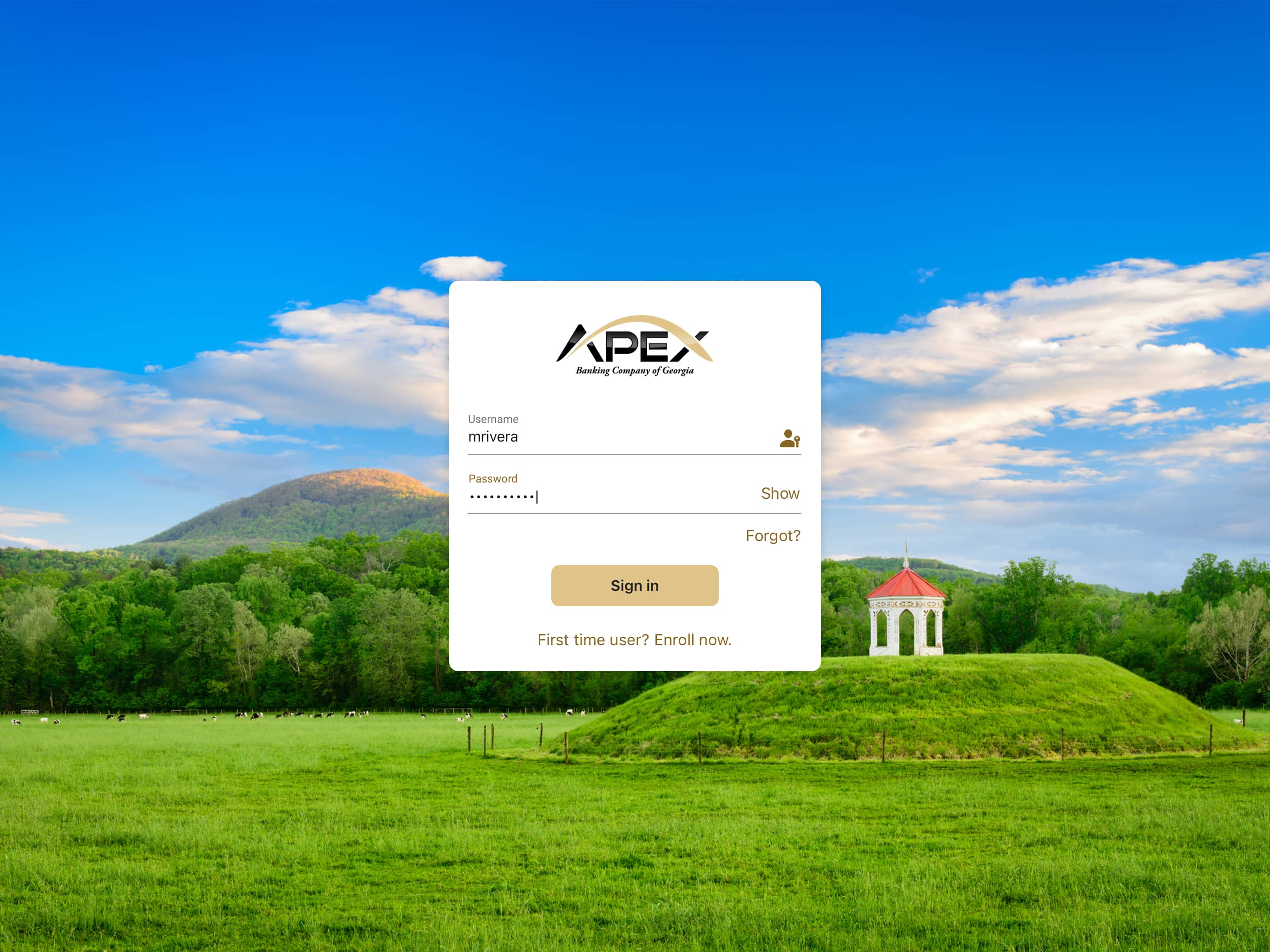 Apex Banking Co of GA