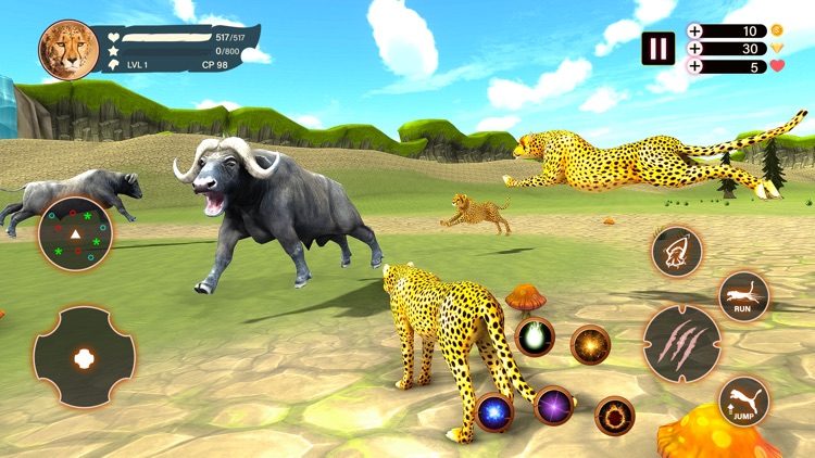 CheetahRush: Cheetah Hunting