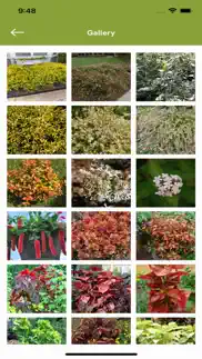 armitage’s great garden plants problems & solutions and troubleshooting guide - 4