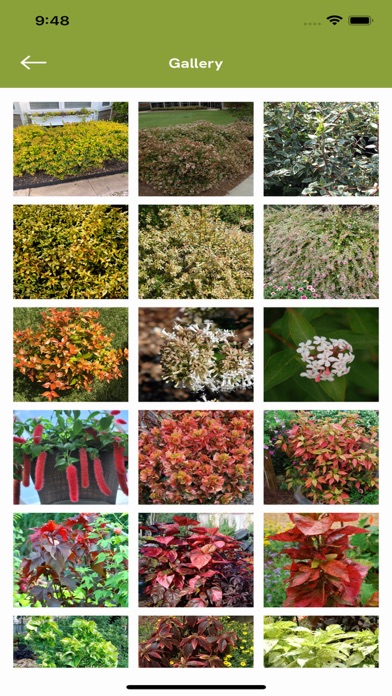 Armitage’s Great Garden Plants Screenshot