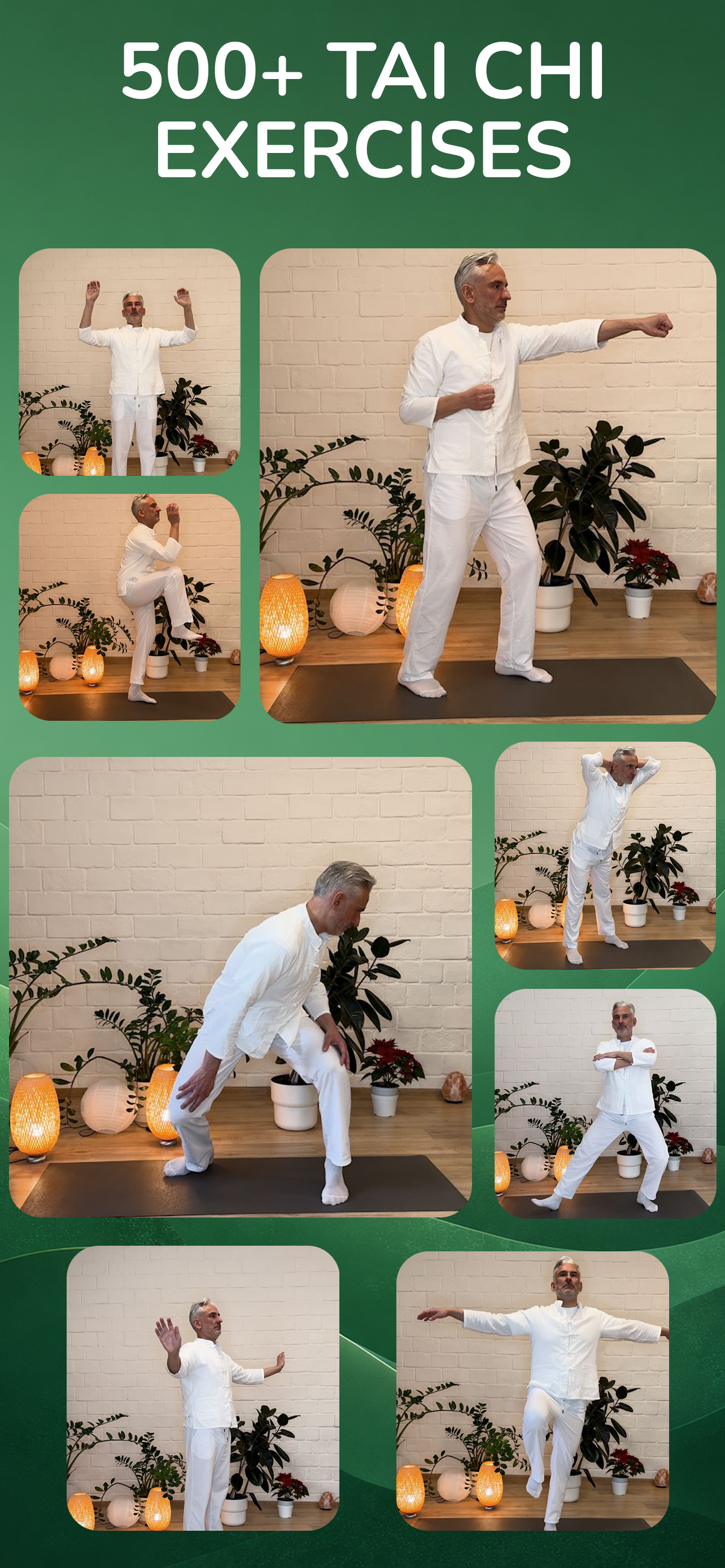 Tai Chi for Seniors &Beginners screenshot 4