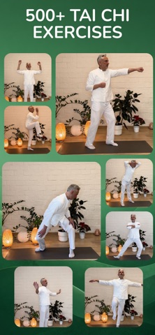 Tai Chi for Seniors &Beginners screenshot