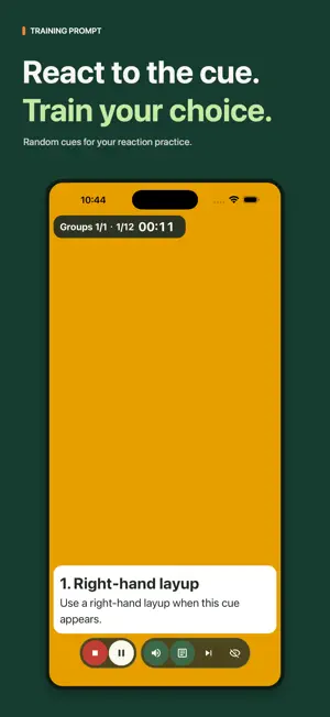 Training Prompt screenshot 1
