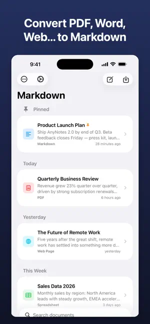 AnyMarkdown - PDF to Markdown screenshot 1