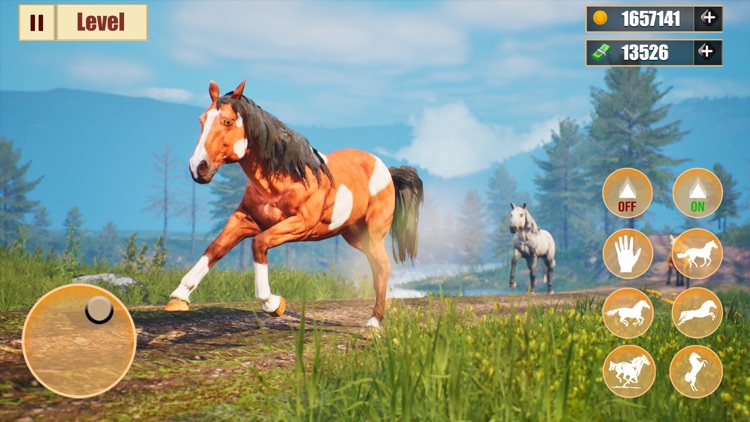 Horse racing riding tales