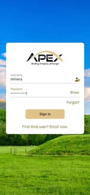 Apex Banking Co of GA screenshot 2