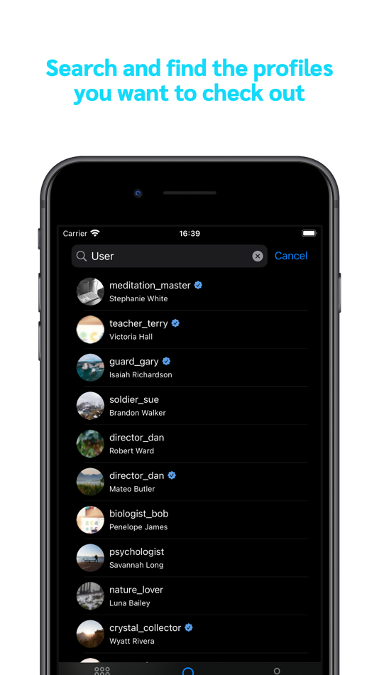 #2. Instory for Insta (iOS) 由: Seyed Mahmoud Hodaeenia