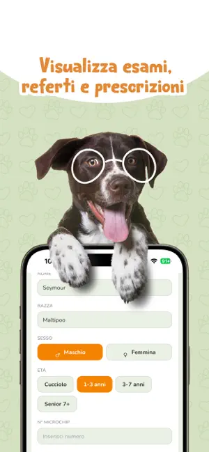 Kucciolo screenshot 3