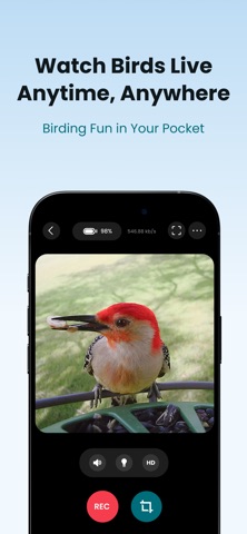 Birdfy screenshot