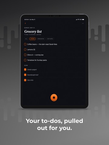 Quivo: AI Voice Note Taker iPad screenshot