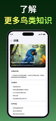 鸟类识别：叫声与拍照 screenshot