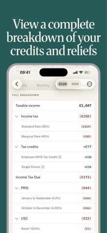 Irish PAYE Tax Calculator iPhone screenshot
