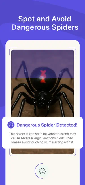 Spider Identifier:Scanner AI+ screenshot 3