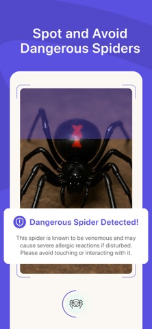Spider Identifier:Scanner AI+ Screenshot 3 of 6